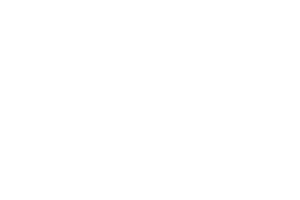 Logo Bootdoc