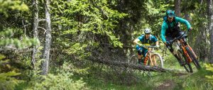 Zwei Biker mit Scott Fahrradkleidung fahren auf Scott Mountainbikes durch den Wald