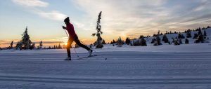 Frau auf Langlaufski bei Skitour am Abend