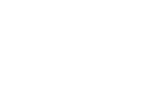 Logo Spider