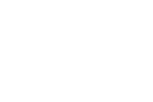 Logo Wintersteiger